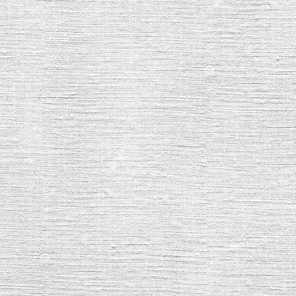 Lined Paper swatch